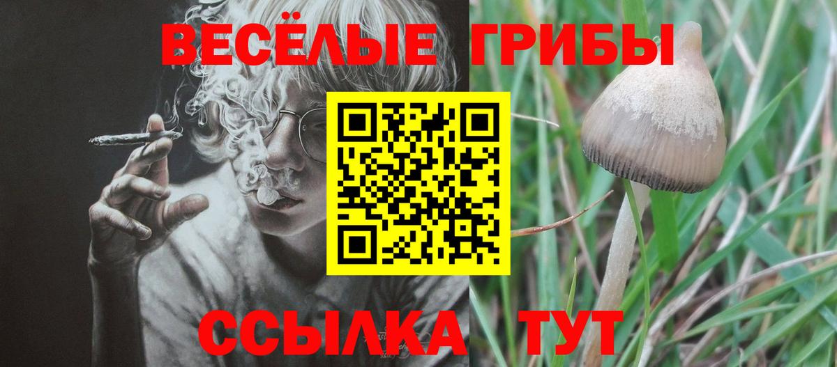 Псилоцибиновые грибы Psilocybe  Псилоцибиновые грибы мицелий  Вход с VPN  Маркс 